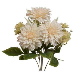 Mixed Dahlia & Daisy Bush x5, 15