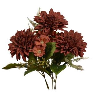Mixed Dahlia & Daisy Bush x5, 15