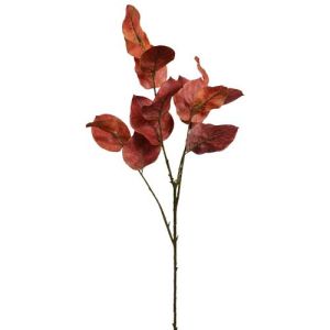Magnolia Leaves Spray x4, 31