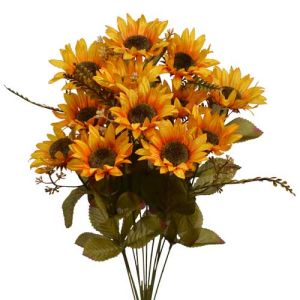 Sunflower Bush x12, 19