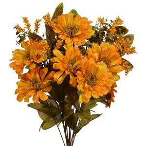 Mixed Zinnia & Filler Bush x14, 18