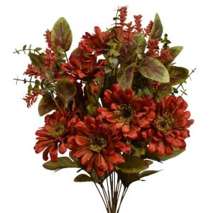 Mixed Zinnia & Filler Bush x14, 18