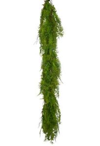 Mixed Fern Garland 55