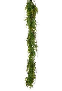 Mixed Fern Garland 55