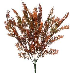 Cedar Bush x7, 23