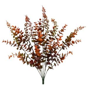 Eucalyptus Bush x7, 23