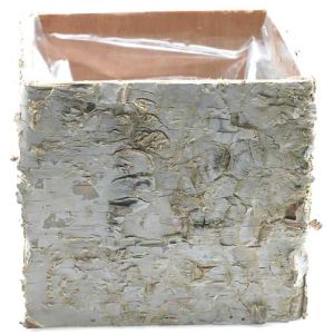 Birch Square Planter 4.75x4.75