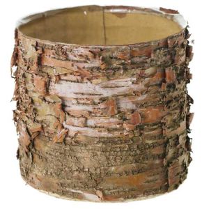 Birch Cylinder Planter 6x5.5