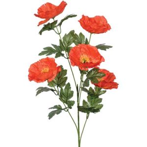 Poppy Spray x5, 28