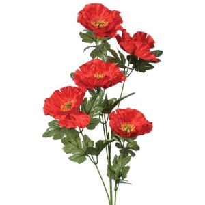 Poppy Spray x5, 28