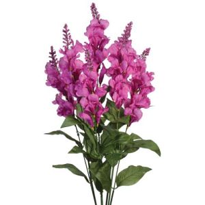 Snapdragon Bush x7, 24