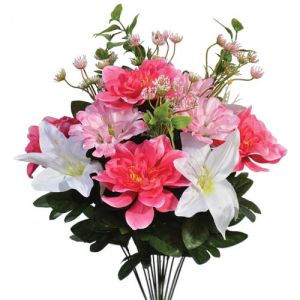 Mixed Dahlia & Zinnia Bush x14, 20