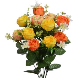 Mixed Mini Peony Bush x12, 17