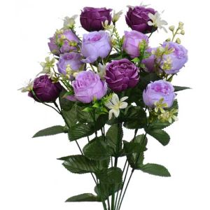 Mixed Mini Peony Bush x12, 17