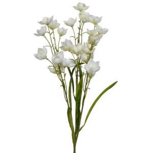 Parnassia Spray x3, 26