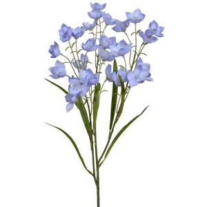 Parnassia Spray x3, 26