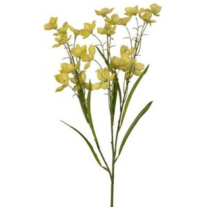 Parnassia Spray x3, 26