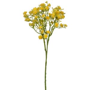 Gypsophila Spray x5, 18