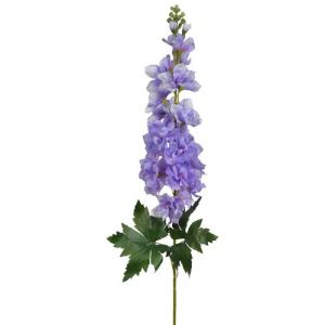 Delphinium Spray 31