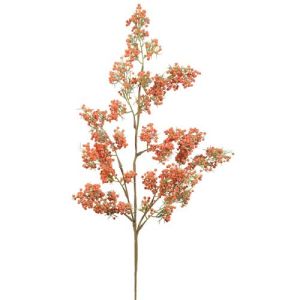 Mini Berry Spray 32
