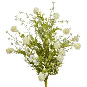Mixed Thistle Bush x5, 19