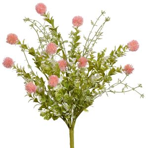64839- Our mixed thistle bush is 19