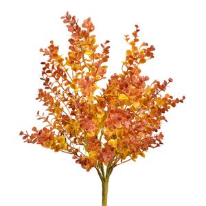 Eucalyptus Bush x6, 17