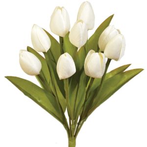Value Mini Tulip Bush x9, 13