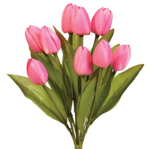 Value Mini Tulip Bush x9, 13