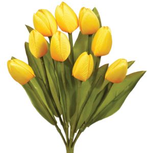 Value Mini Tulip Bush x9, 13