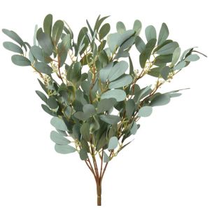 Olive Leaves Bush x7, 18