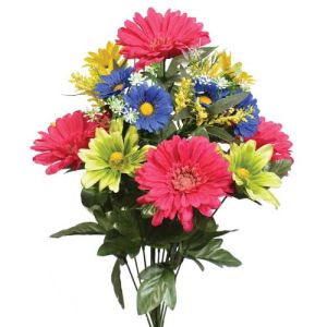 Mixed Daisy Bush x13, 20