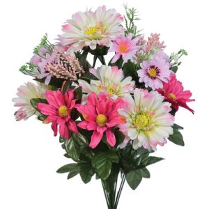 Mixed Daisy Bush x13, 20