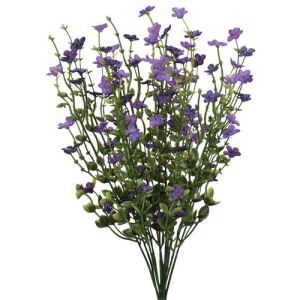 Forget-Me-Not Bush x11, 17.5