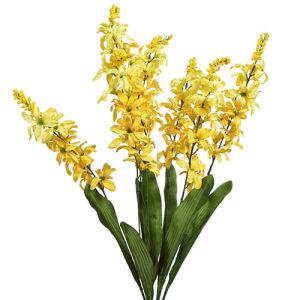 Spike Blossom Bush x7, 24