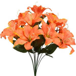 Tiger Lily Bush x11, 19