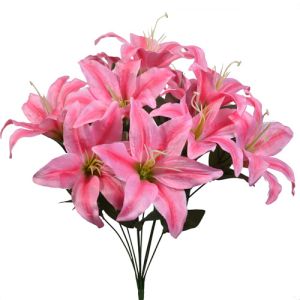 Tiger Lily Bush x11, 19