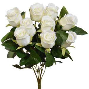 Rosebud Bush x9, 17