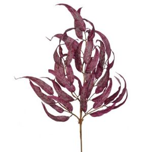 Willow Leaves Spray 28