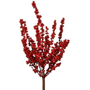 Berry Spray x5, 21