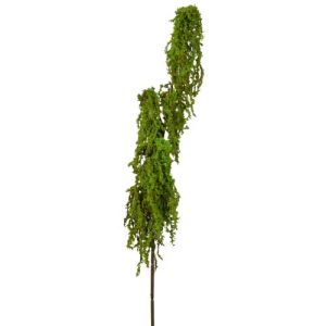 Soft Moss Hanging Spray 35
