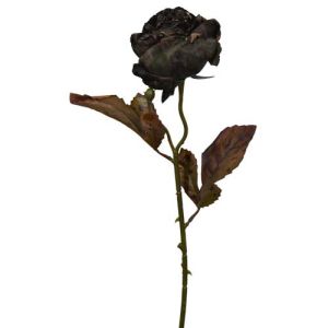 Dried Look Rose Spray 20
