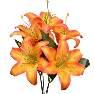Value Lily Bush x5, 16