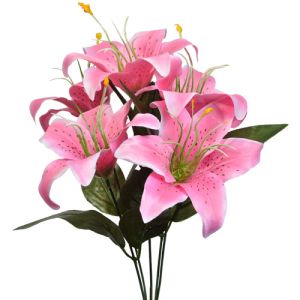 Value Lily Bush x5, 16