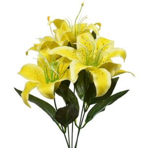 Value Lily Bush x5, 16