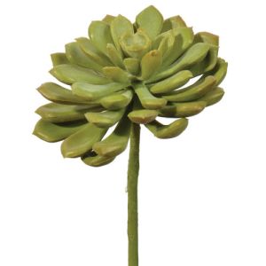 Real Touch Mini Aeonium Pick 6