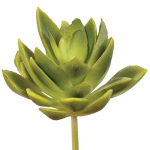 Real Touch Mini Agave Pick 5