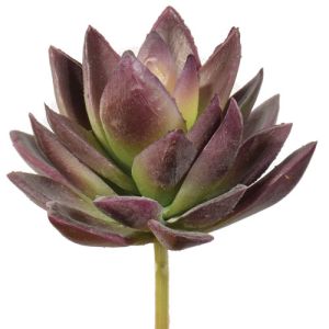 Real Touch Mini Agave Pick 5
