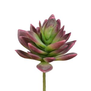 Real Touch Mini Agave Pick 5