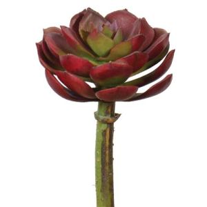 Real Touch Echeveria Pick 5